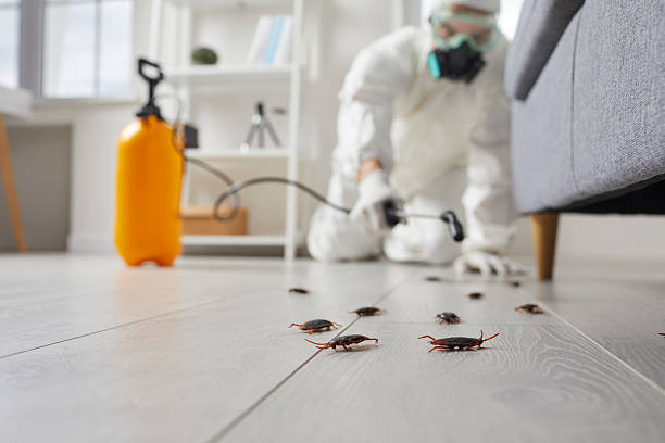 Trusted Cockroach Control service in Lawnside, NJ - Nex Pest Control