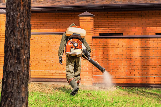 Trusted Bed Bug Control service in Lawnside, NJ - Nex Pest Control